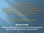 Feoli